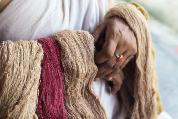 Eri silk Sericulture of North East